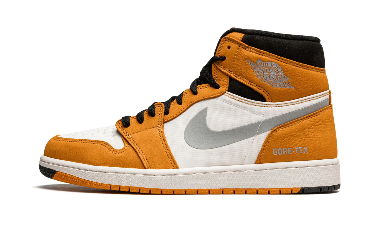 Nike Air Jordan 1 Element Gore Tex