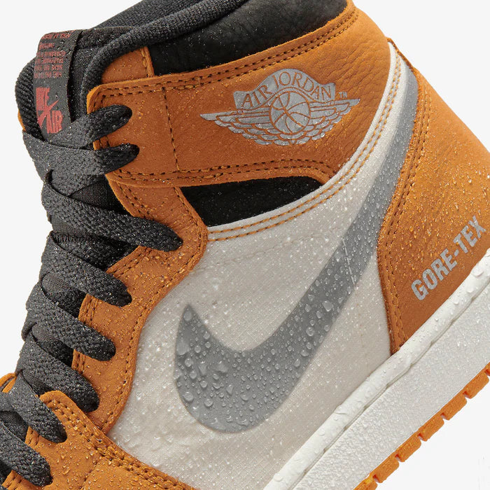 Nike Air Jordan 1 Element Gore Tex